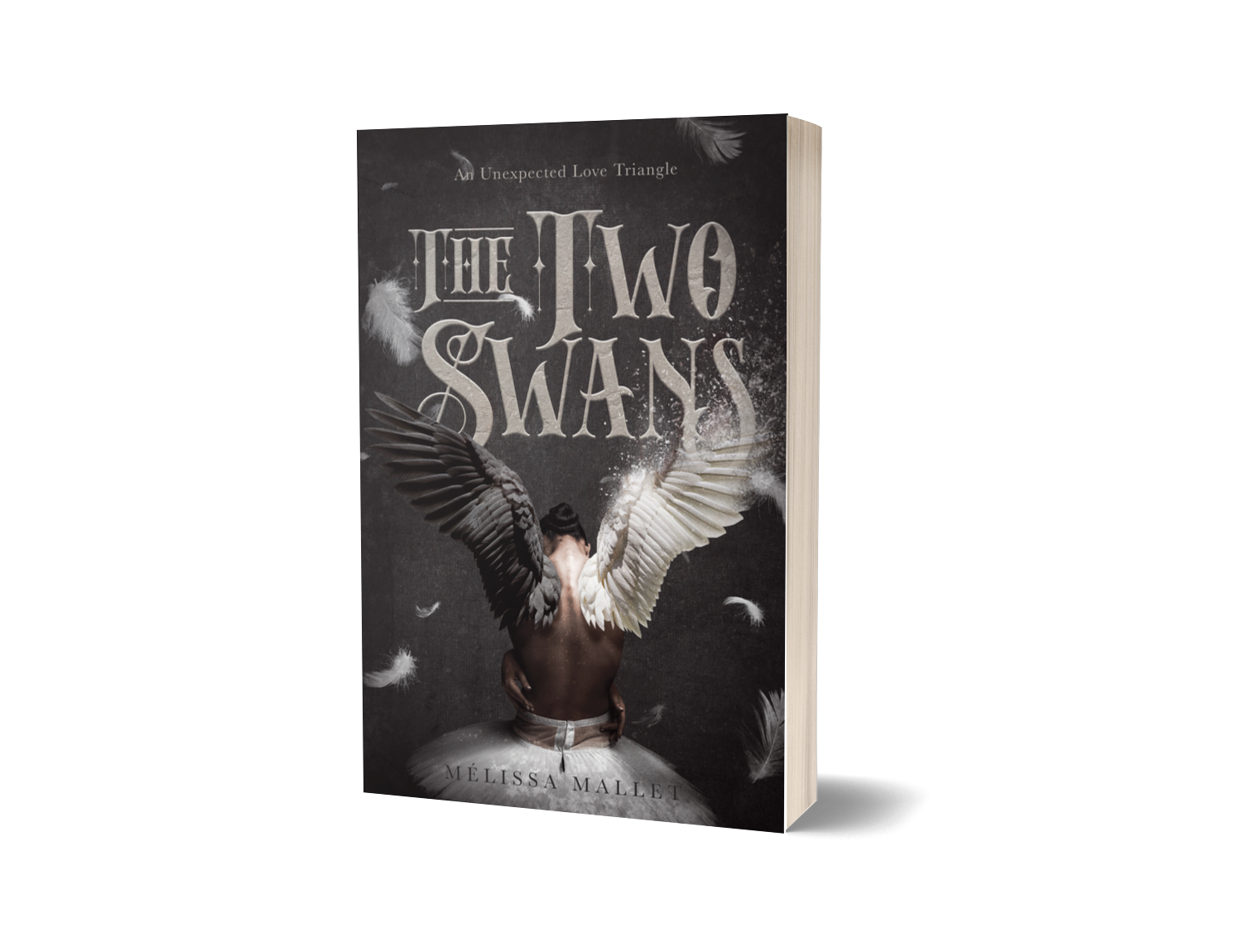 The Two Swans Book Cover Design